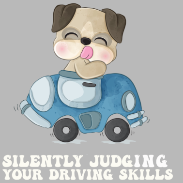 Zoom image Stille Beurteilung der eigenen Fahrkünste Fahrlehr