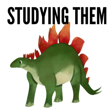 Zoom image STUDERE DEG