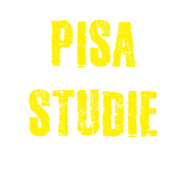 Zoom image Pisa-studie