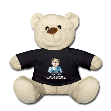 Test  - Stille Beurteilung der eigenen Fahrkünste Fahrlehr