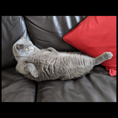 Zoom image Test TEst