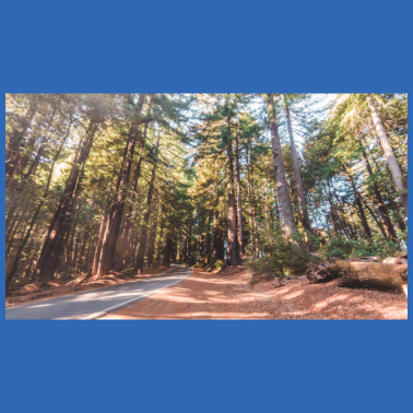 Zoom image Esto es una prueba