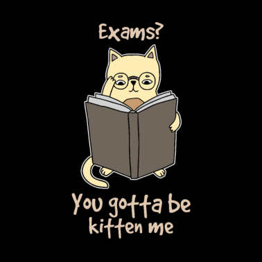 Zoom image Studerende katt