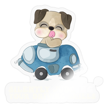 Test  - Stille Beurteilung der eigenen Fahrkünste Fahrlehr