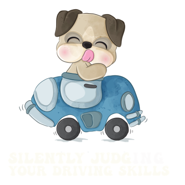 Zoom image Stille Beurteilung der eigenen Fahrkünste Fahrlehr