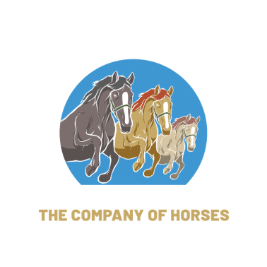 Zoom image Deportes ecuestres Diversión Carrera de caballos inglesa