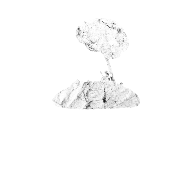 Zoom image Badania naukowe