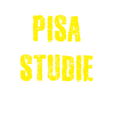 Zoom image Pisa-studie