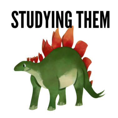 Zoom image STUDERE DEG