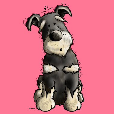 Zoom image Søt Schnauzer