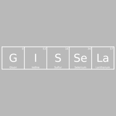 Zoom image Gissela Nimi Etunimi Chemistry Periodic Table Element
