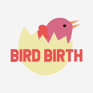 Zoom image Geboorte op ei - geboorte uit het ei