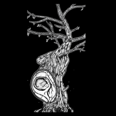 Zoom image Nacimiento