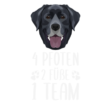 Zoom image 4 Pfoten 2 Füße 1 Team, Schwarzer Labrador