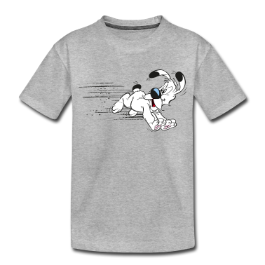 1. Anniversare  - Asterix - Idéfix