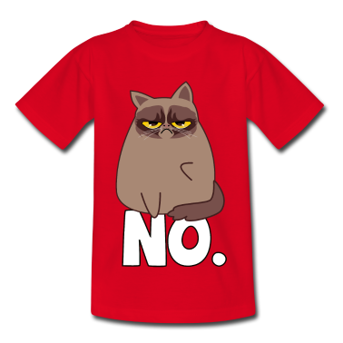 1. Urodziny  - Grumpy Cat