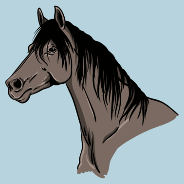 Zoom image Horse Portrait