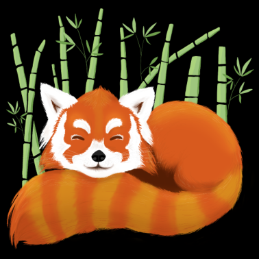 Zoom image Panda roux