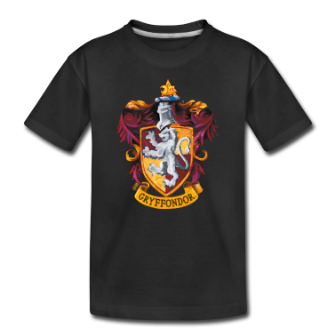 1. Anniversare  - Harry Potter Emblème Gryffondor Peinture