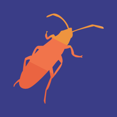 Zoom image Retro kovakuoriainen