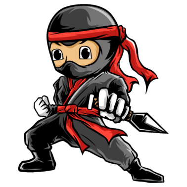 Zoom image Ninja