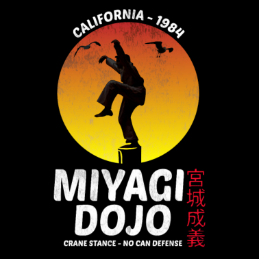 Zoom image MIYAGI-DOJO karatekraanvechttechniek