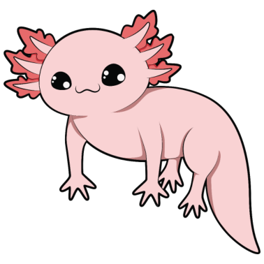 Zoom image Axolotl