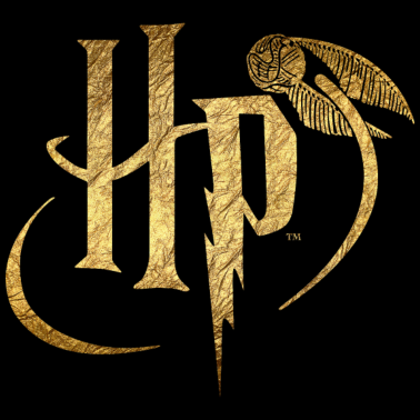 Zoom image Logo Harry Potter Or