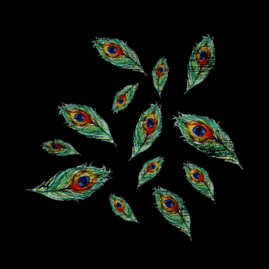 Zoom image pavo real