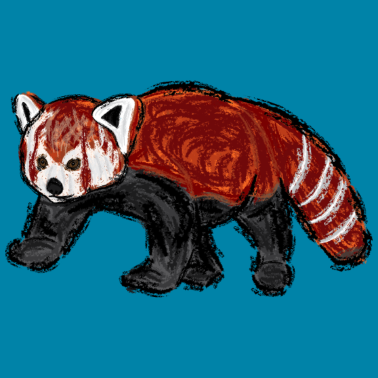 Zoom image Roter Panda / Red Panda Design II