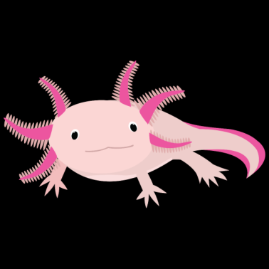 Zoom image Aksolotli