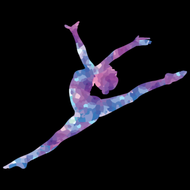 Zoom image ginnastica