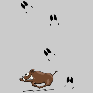 Zoom image Jabalí corriendo con rastros de regalo de siembra salvaje.