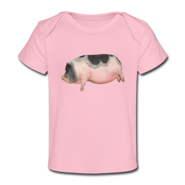 1. Urodziny  - świnia