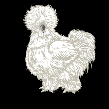 Zoom image Silkkikana piirustus