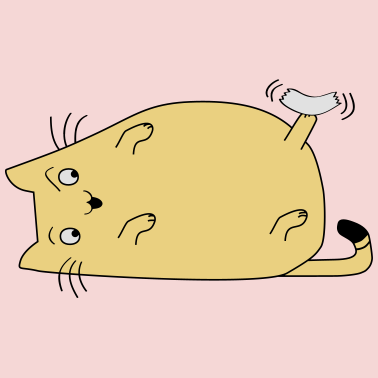 Zoom image Cat with tape