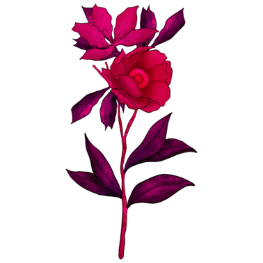 Zoom image Flower Flower Plant