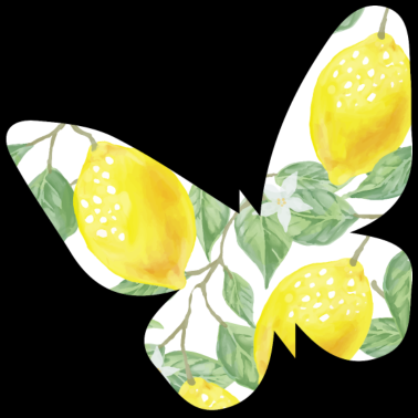 Zoom image Butterfly gifts butterfly butterflies