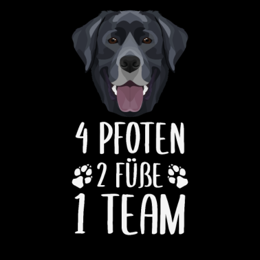 Zoom image 4 Pfoten 2 Füße 1 Team, Schwarzer Labrador