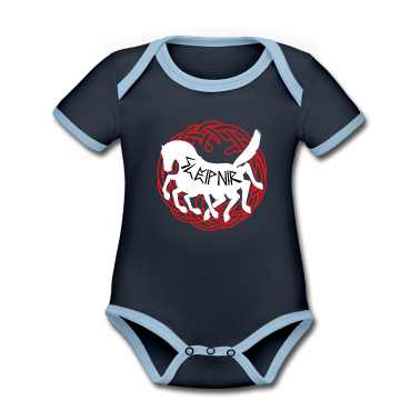 1. Geburtstag  - pferd sleipnir 1