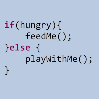 Zoom image Hungry Java programmer