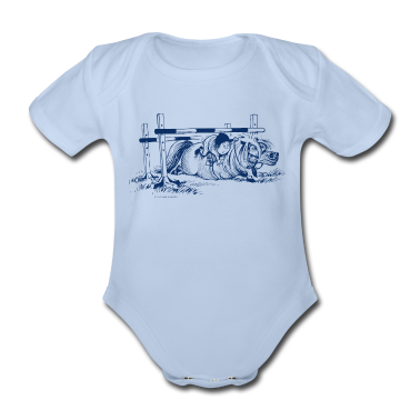 1. Birthday  - Thelwell - Pony not springing