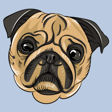 Zoom image Pug boxer hund hvalp hund