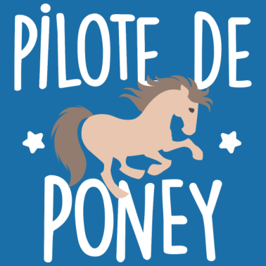 Zoom image Pilote de Poney
