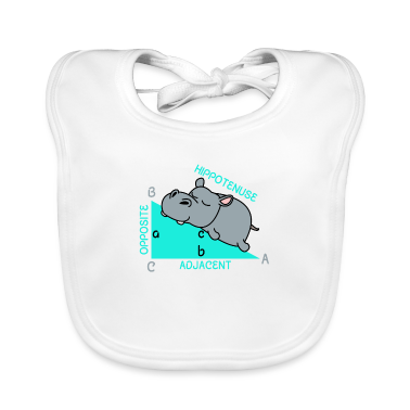 1. Cumpleaños  - Hippotenuse matemáticas matemáticas profesor de matemáticas