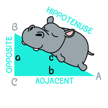 Zoom image Hippotenuse matemáticas matemáticas profesor de matemáticas