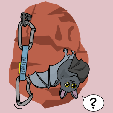 Zoom image Escalada, Bat