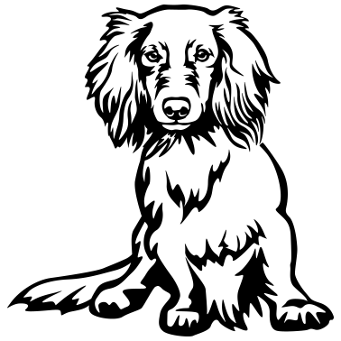 Zoom image Mäyräkoira