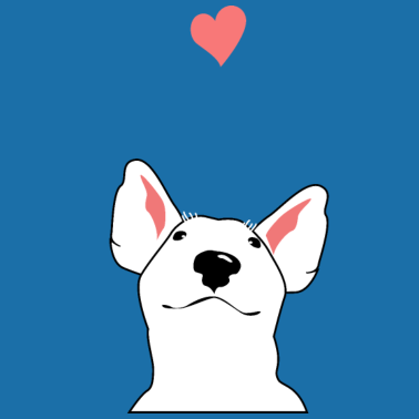 Zoom image bullterrier