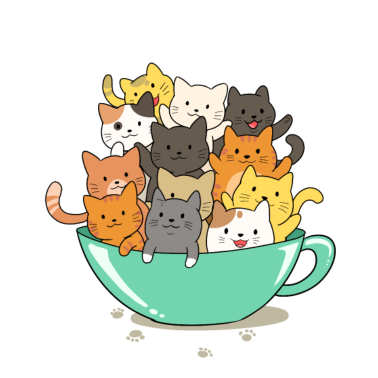 Zoom image chats mignons